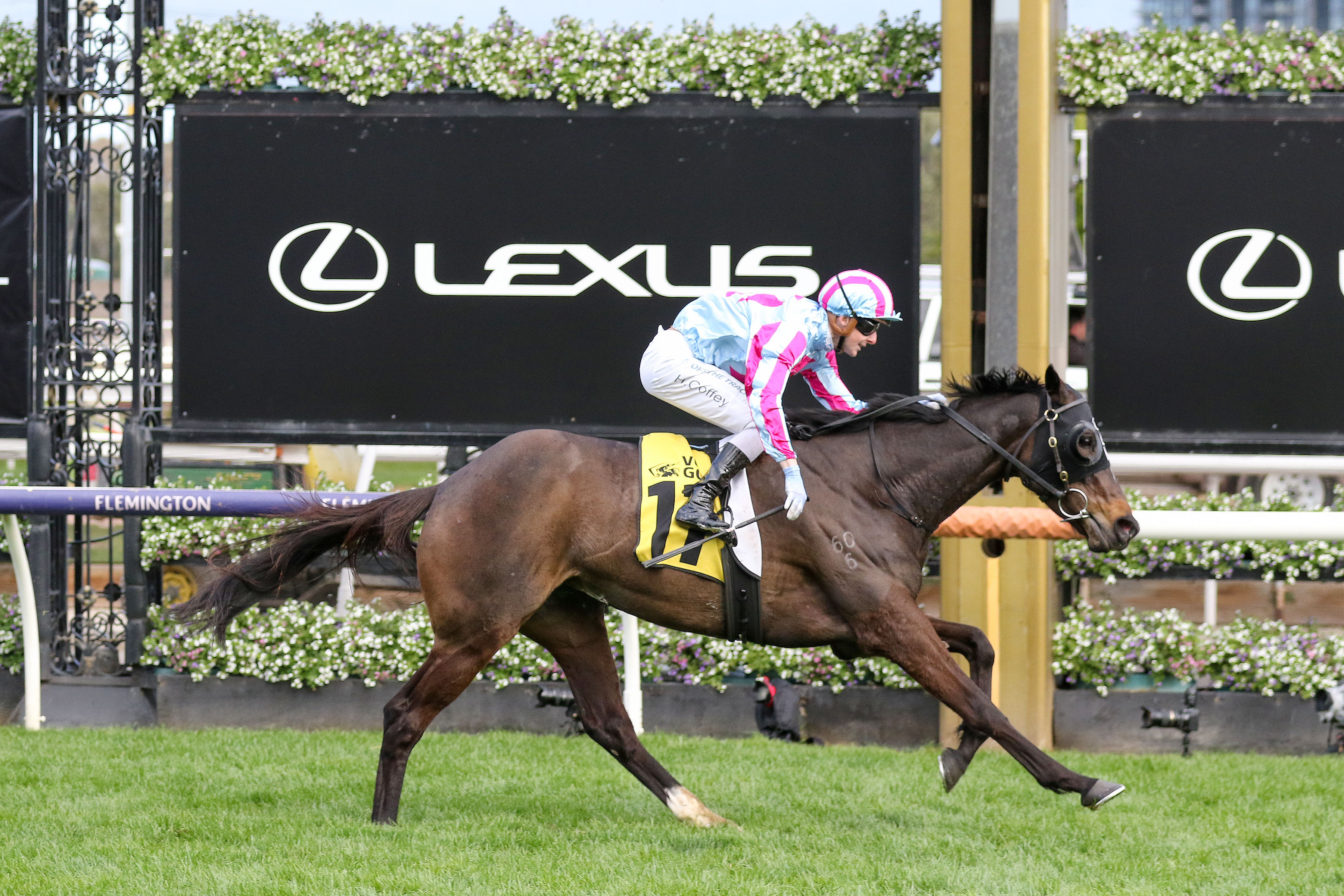 High Emocean Winning The Race